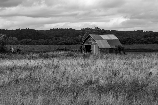 相続した農地を放置するとどうなる？リスクと売却・活用の3つの選択肢